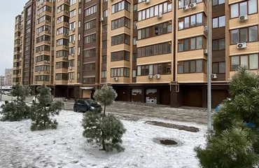 Фото звіт за грудень 2021 року