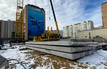 Фото звіт за січень 2022 року